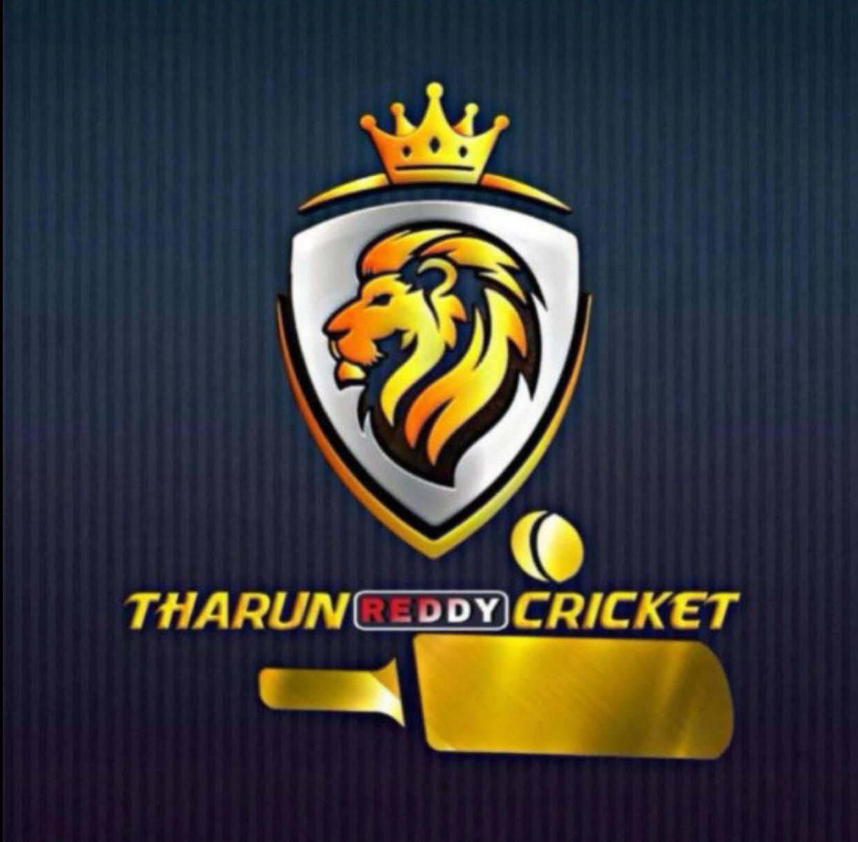 Cricket Analyst Logo